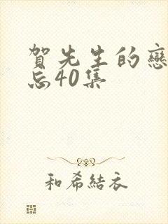 贺先生的恋恋不忘40集