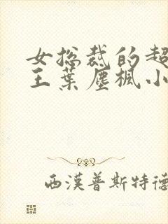 女总裁的超级兵王叶尘枫小说