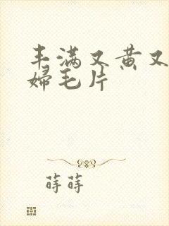 丰满又黄又爽少妇毛片