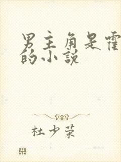 男主角是霍少将的小说