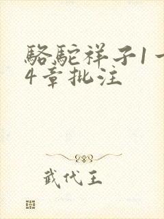 骆驼祥子1一24章批注