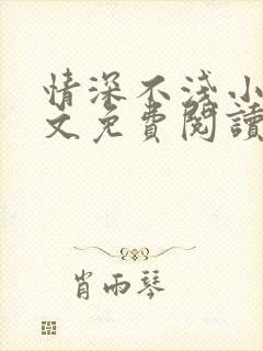 情深不浅小说全文免费阅读