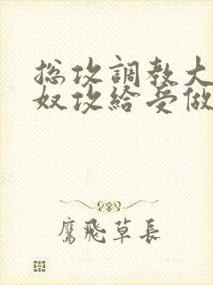 总攻调教大胸奶奴攻给受做奴