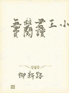 无双君王小说免费阅读