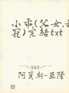 小乖(父女,甜宠)完结txt
