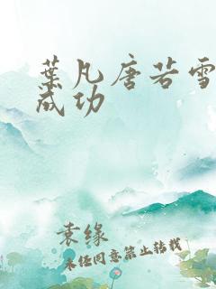 叶凡唐若雪一起成功