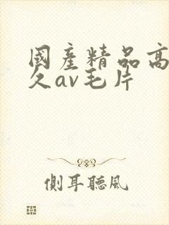 国产精品高潮久久av毛片