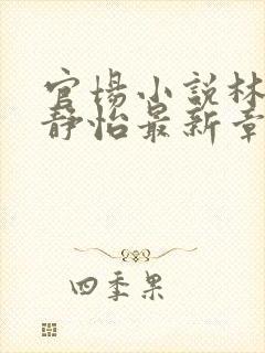 官场小说林皓李静怡最新章节