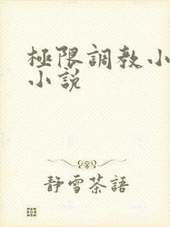 极限调教小女友小说