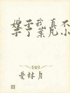 嫂子我真不是傻子了叶凡小说正版