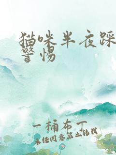 猫咪半夜踩奶要警惕