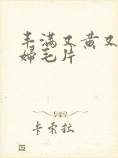 丰满又黄又爽少妇毛片