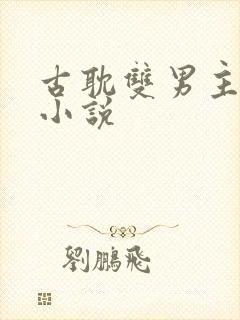 古耽双男主生子小说