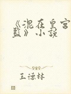 《混在皇宫假太监》小说