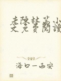 老陈林茜小说全文免费阅读