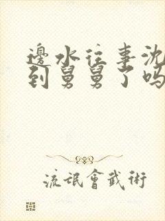 边水往事沈星找到舅舅了吗