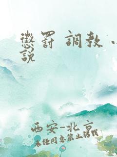 惩罚 调教 小说