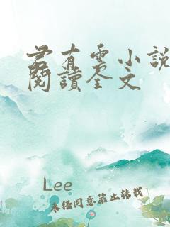 君有云小说免费阅读全文