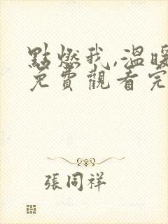 点燃我,温暖你免费观看完整版