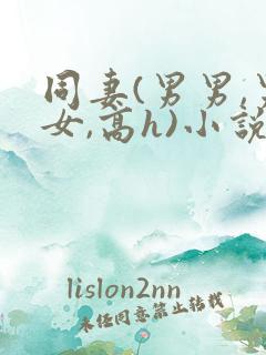 同妻(男男,男女,高h)小说