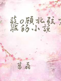 苏o顾北弦完结版的小说