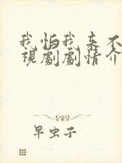 我怕我来不及电视剧剧情介绍