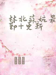 林北苏婉最新章节+更新