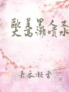 欧美黑人又高又大高潮喷水