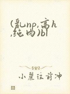 (乱np,高h,纯肉)bl