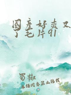 国产好爽又高潮了毛片91