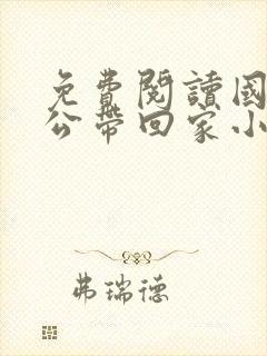 免费阅读国民老公带回家小说