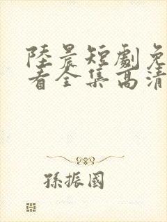 陆晨短剧免费观看全集高清