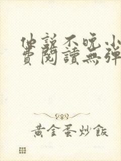 他说不晚小说免费阅读无弹窗