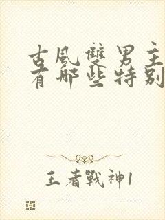 古风双男主小说有哪些特别好看的