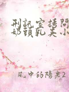 刑讯室拷问白嫩奶头乳夹小说