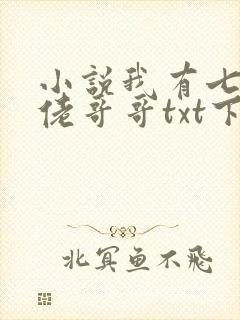 小说我有七个大佬哥哥txt下载