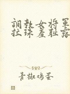 调教女将军走绳拉珠羞耻露小说