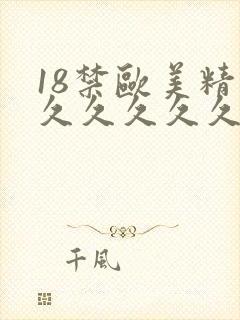 18禁欧美精品久久久久久