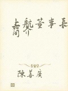 上航董事长王谭简介