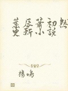 叶辰萧初然最快更新小说