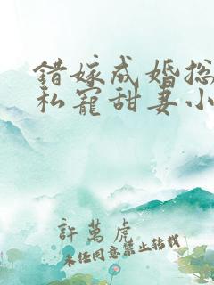 错嫁成婚总裁的私宠甜妻小说