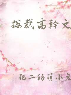 总裁高干文推荐