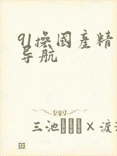 91操国产精品导航