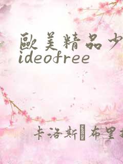 欧美精品少妇videofree