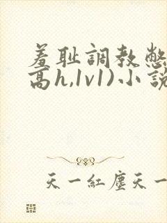 羞耻调教憋尿(高h,1v1)小说