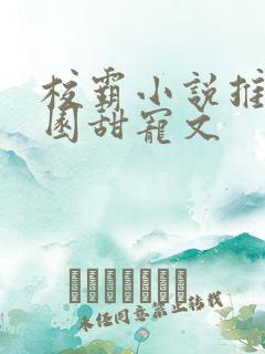 校霸小说推荐校园甜宠文