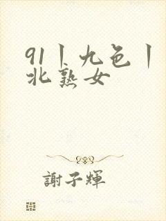 91丨九色丨东北熟女