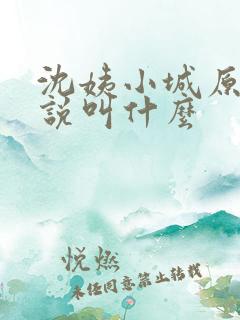 沈姨小城原著小说叫什么