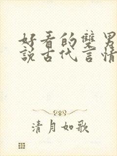 好看的双男主小说古代言情