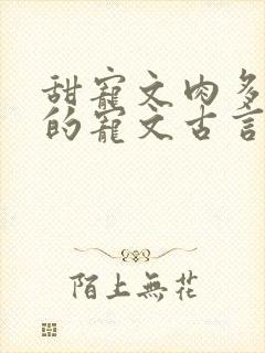 甜宠文肉多好看的宠文古言